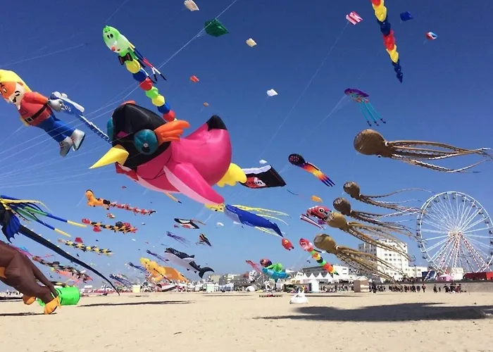 A 50 Metres De La Avec Wifi شقة